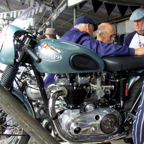 Triumph T110 LEAPING TIGER STICKERS - Image 2