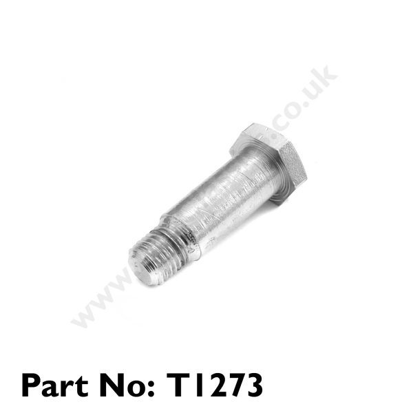 Triumph - Chrome Kick Start Pedal Arm Bolt T1273