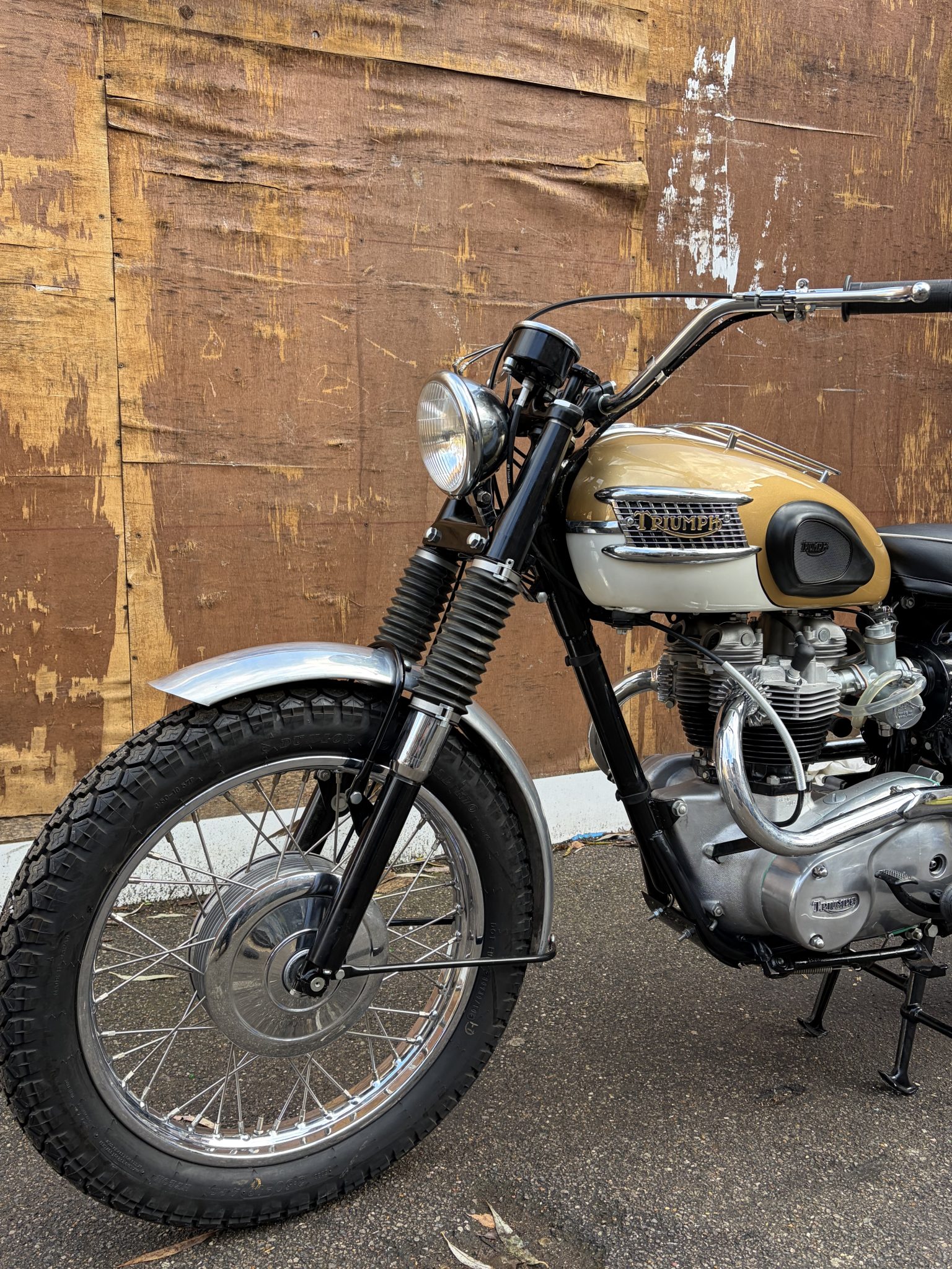Triumph - Bates Style 5 3/4